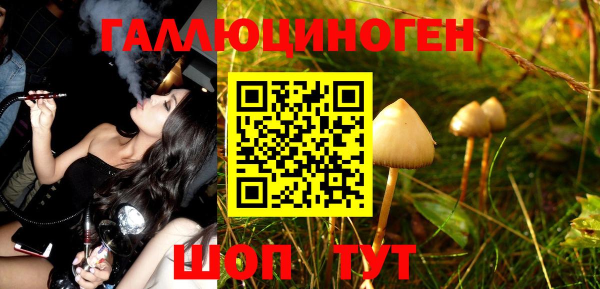 Псилоцибиновые грибы MAGIC MUSHROOMS Елец