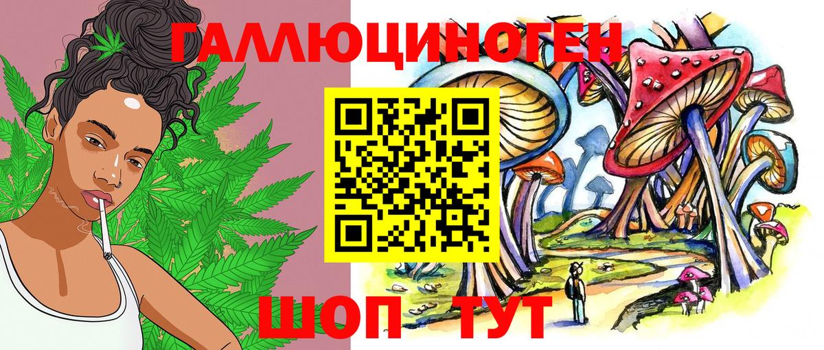 Елец  Галлюциногенные грибы Psilocybe  Вход с VPN 
